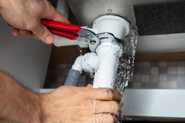 Best Flood restoration services  in Schuylkill Haven, PA