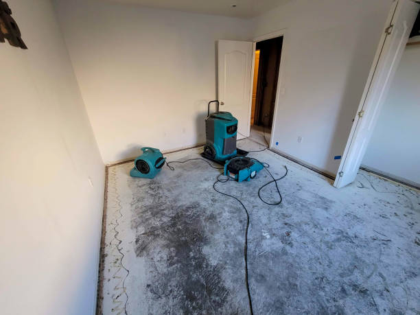Trusted Schuylkill Haven, PA Water damage restoration Experts