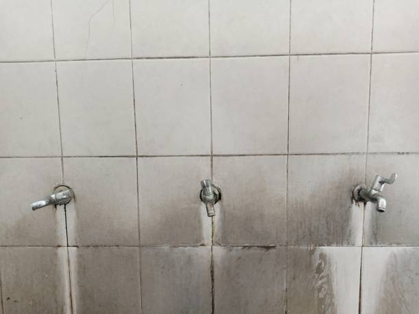 Best Water damage restoration specialists  in Schuylkill Haven, PA