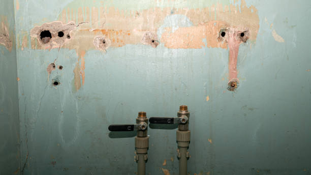 Best Mold removal after water damage  in Schuylkill Haven, PA