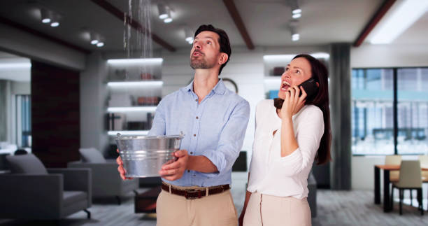 Best Water damage restoration near me  in Schuylkill Haven, PA
